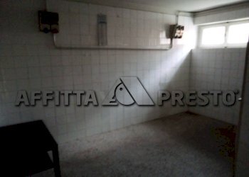 Commercial Activity Collesalvetti - photo 12