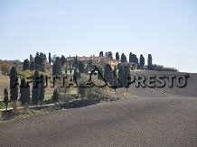 Attività Commerciale Via Roma, Collesalvetti - foto 3