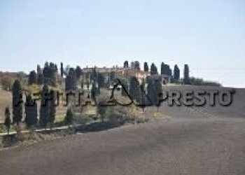 Commercial Activity Via Roma, Collesalvetti - photo 3