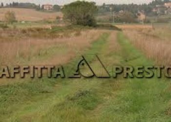 Commercial Activity Via Roma, Collesalvetti - photo 5