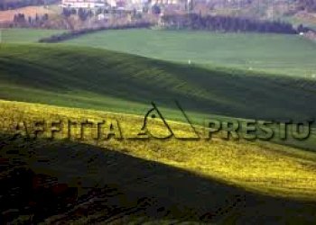 Commercial Activity Via Roma, Collesalvetti - photo 7