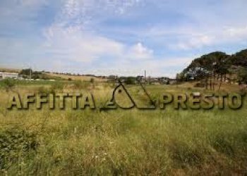 Commercial Activity Via Roma, Collesalvetti - photo 9