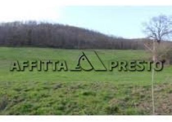 Commercial Activity Via Roma, Collesalvetti - photo 11