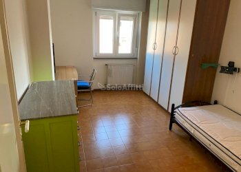 IMG-20240304-WA0035.jpg - Appartamento Frosinone - foto 8