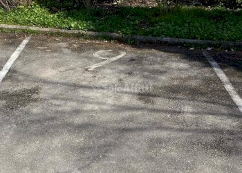 IMG-20240304-WA0043.jpg - Appartamento Frosinone - foto 16