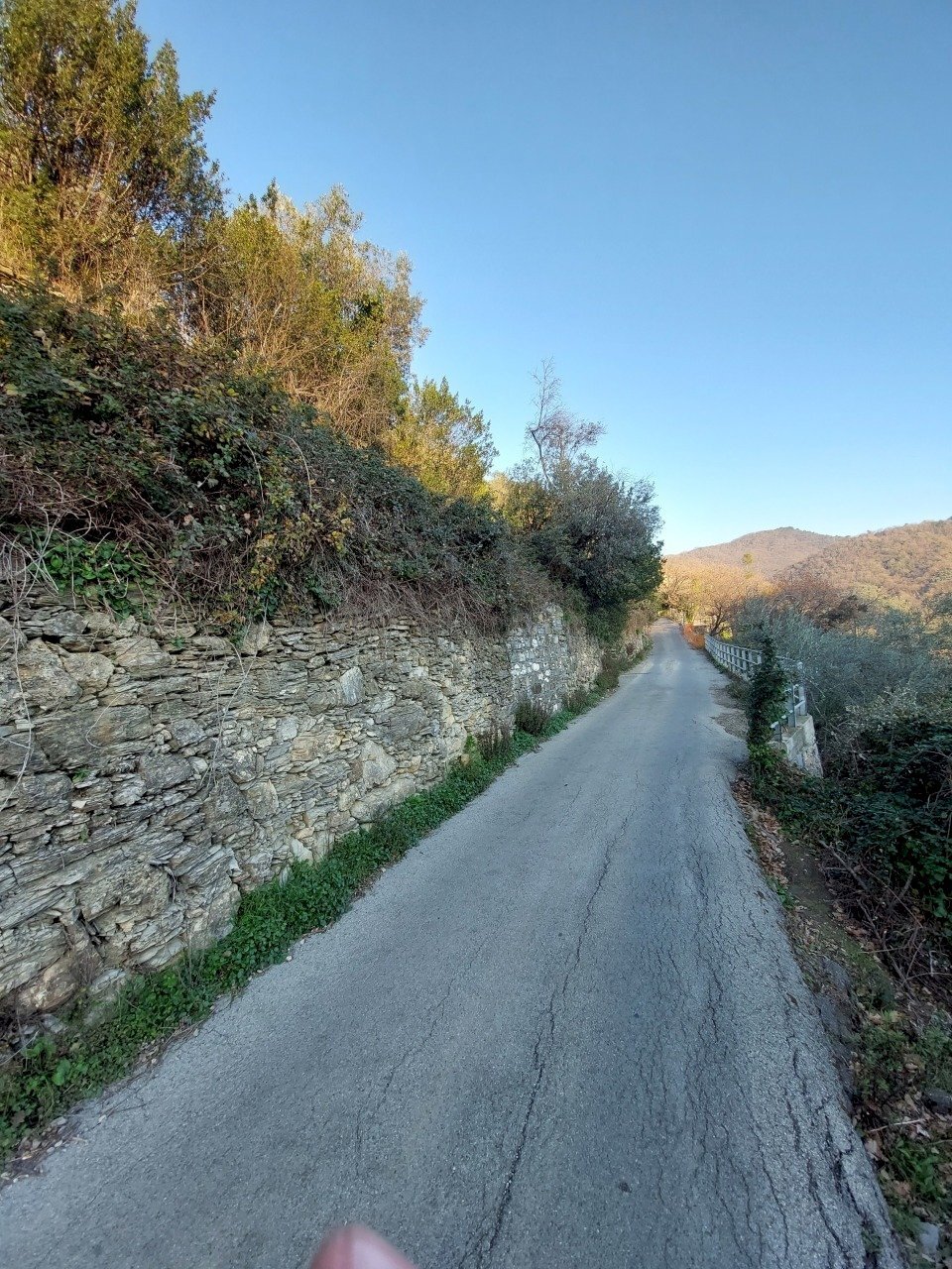 2-20230208_162419 (1).jpg.jpg - Terreno agricolo Via Verzemma 10, Recco - foto 2