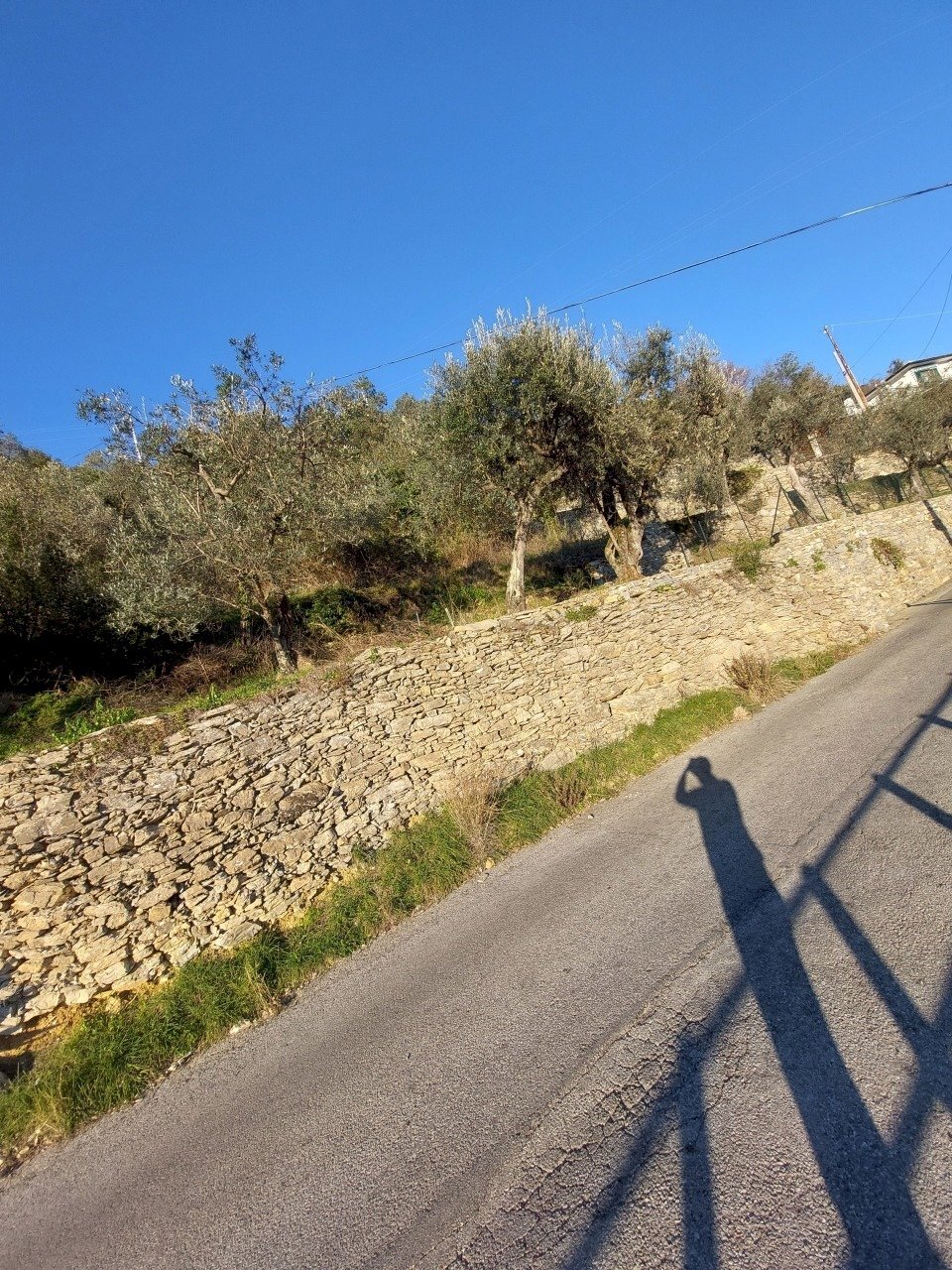 3-20230208_162528.jpg.jpg - Terreno agricolo Via Verzemma 10, Recco - foto 3