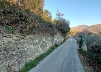 2-20230208_162419 (1).jpg.jpg - Terreno agricolo Via Verzemma 10, Recco - foto 2