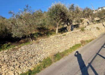 3-20230208_162528.jpg.jpg - Terreno agricolo Via Verzemma 10, Recco - foto 3