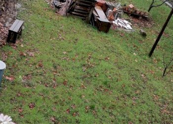 IMG20240301103639.jpg - Casa indipendente Via San Remigio 7, Parodi Ligure - foto 4