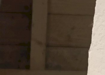 IMG20240301104044.jpg - Casa indipendente Via San Remigio 7, Parodi Ligure - foto 25