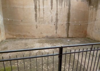 P1090193.JPG - Appartamento Ragusa - foto 20