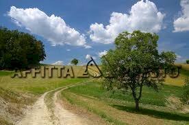 Commercial Activity Via Roma, Collesalvetti - photo 2