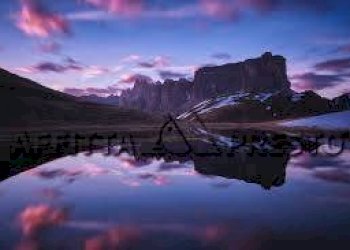 Commercial Activity Via Roma, Collesalvetti - photo 4