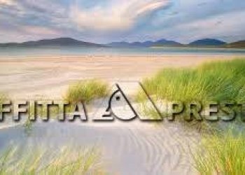 Commercial Activity Via Roma, Collesalvetti - photo 8