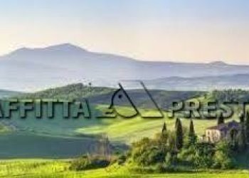 Commercial Activity Via Roma, Collesalvetti - photo 10