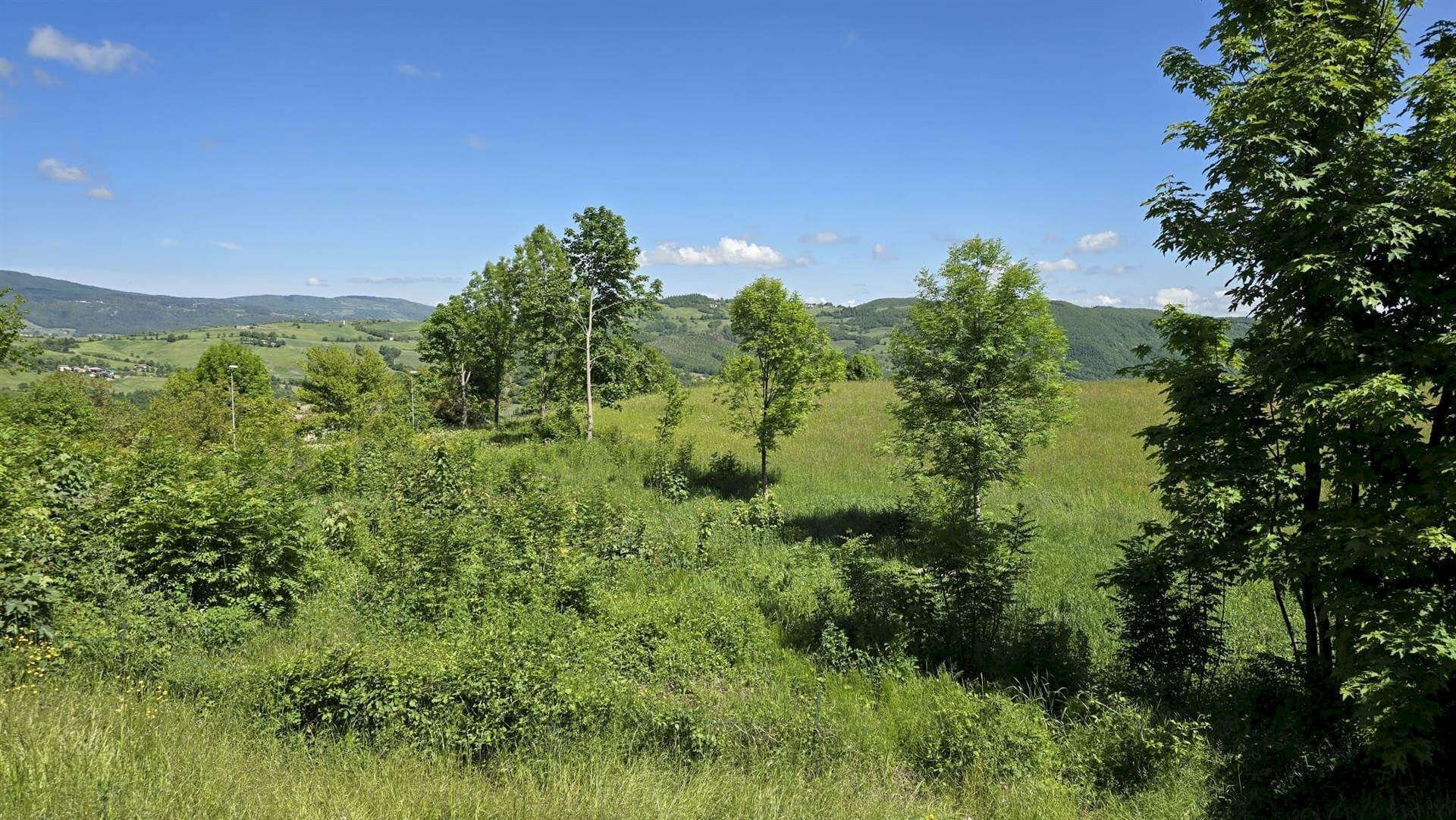 Terreno edificabile Sestola - foto 1
