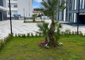 Giardino - Ufficio via Aldo Moro, Volla - foto 19