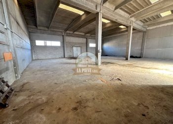 Interno non residenziale - Capannone corso Genova, Carbonara Scrivia - foto 4