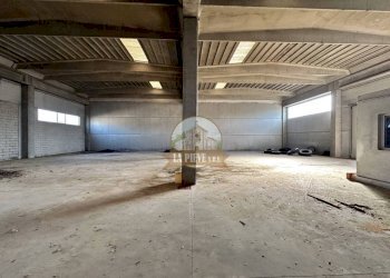 Interno non residenziale - Capannone corso Genova, Carbonara Scrivia - foto 5