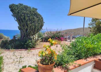 Giardino - Villa contrada Conza, Castellammare del Golfo - foto 24