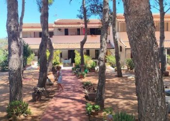 Giardino - Villa contrada Conza, Castellammare del Golfo - photo 45