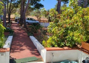 Giardino - Villa contrada Conza, Castellammare del Golfo - foto 46