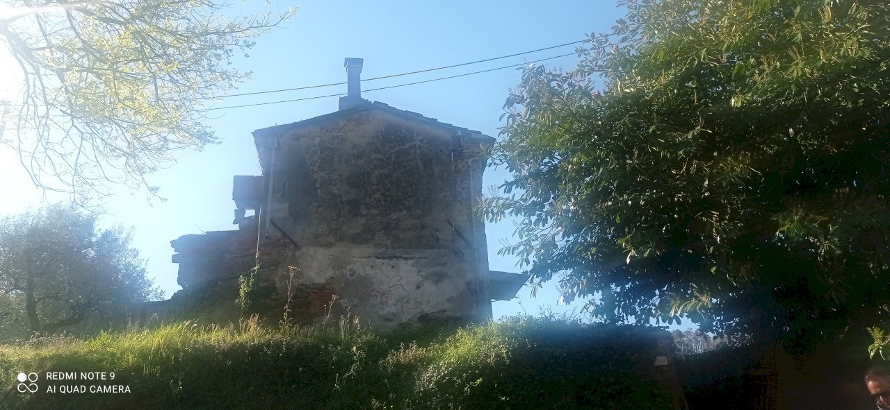 IMG_20230426_085351.jpg - Casale Massarosa - foto 1