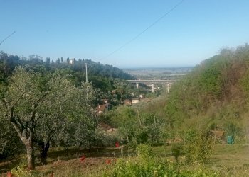 IMG_20230426_085607.jpg - Casale Massarosa - foto 2