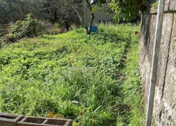 WhatsApp Image 2025-09-20 at 09.59.48.jpeg - Casa semi indipendente Fosdinovo - foto 28