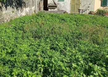 WhatsApp Image 2025-09-20 at 09.59.56.jpeg - Casa semi indipendente Fosdinovo - foto 29