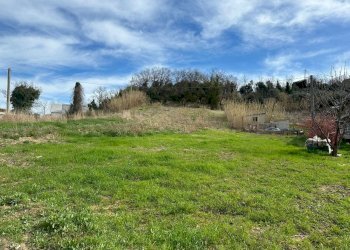 WhatsApp Image 2024-05-28 at 09.50.29.jpeg - Terreno agricolo VIALE MAIELLA, Ortona - foto 2