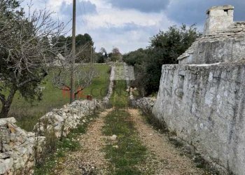 WhatsApp Image 2024-02-20 at 12.26.07 (1).jpeg - Casale Martina Franca - foto 5