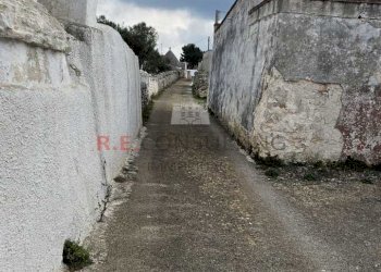 WhatsApp Image 2024-02-20 at 12.26.07.jpeg - Casale Martina Franca - foto 9