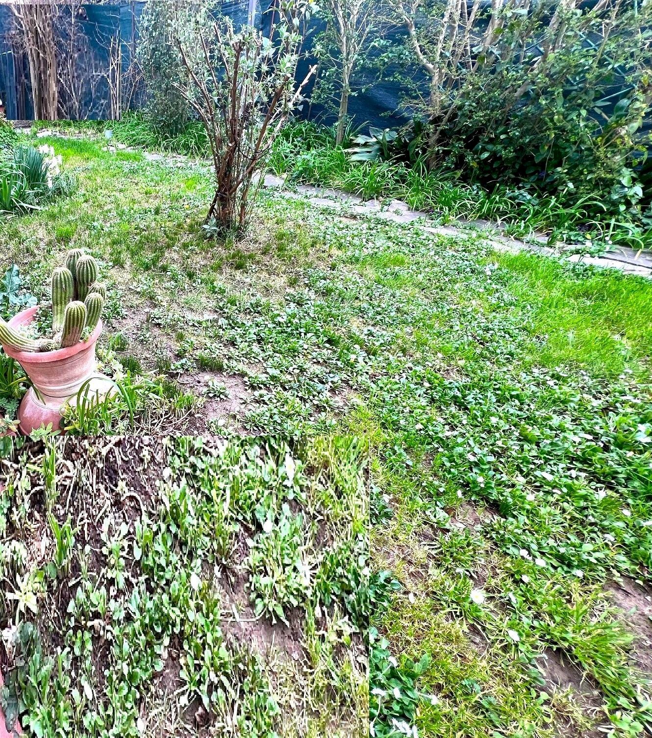 Appartamento Montelupo Fiorentino - foto 1