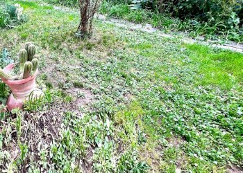 Appartamento Montelupo Fiorentino - foto 1