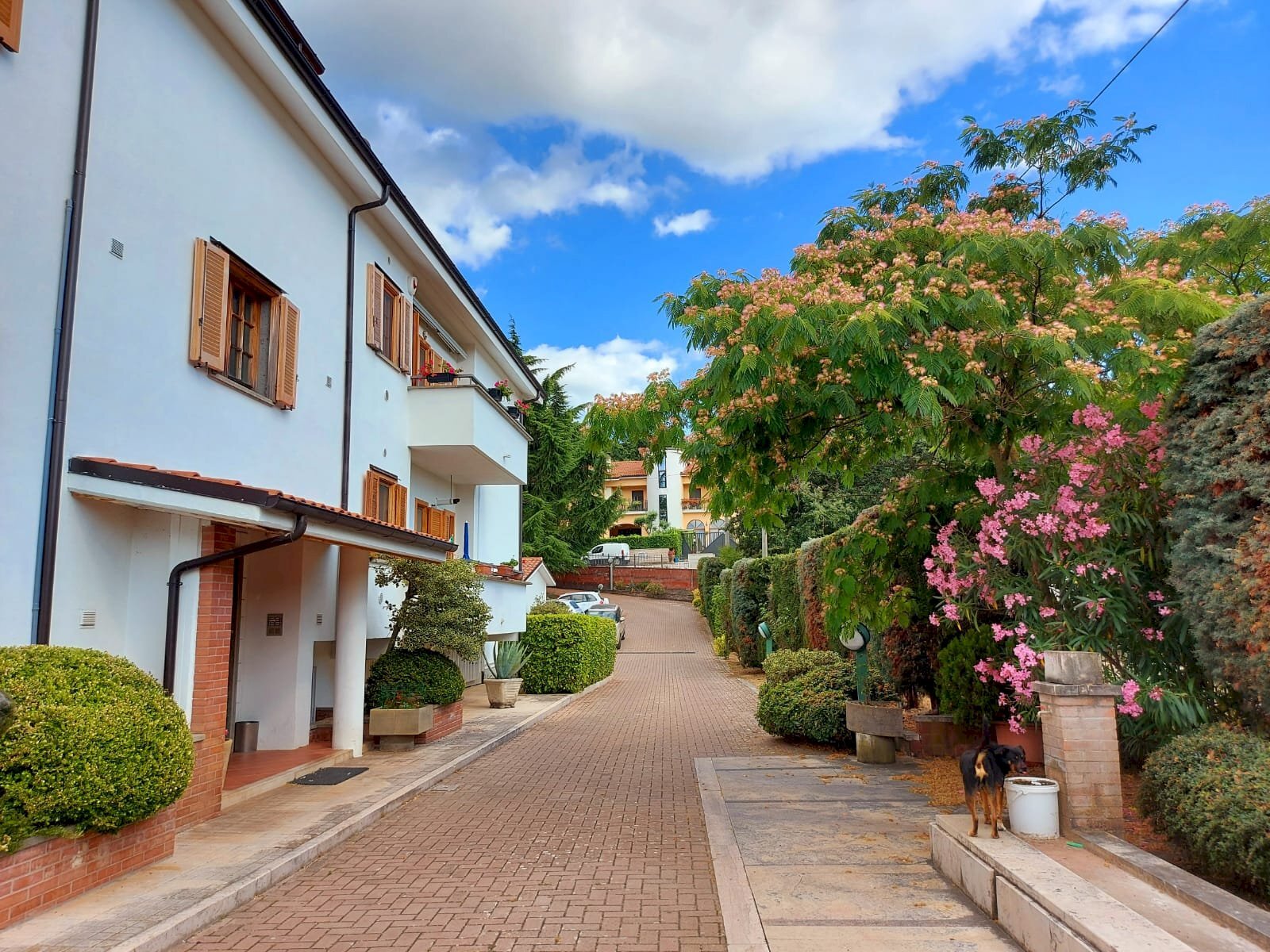 Appartamento via Albert Bruce Sabin, 6, Pesche - foto 2