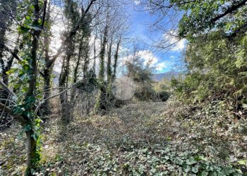 Stable - Palace Via Magnetti, Coassolo Torinese - photo 13