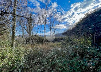 Stable - Palace Via Magnetti, Coassolo Torinese - photo 40
