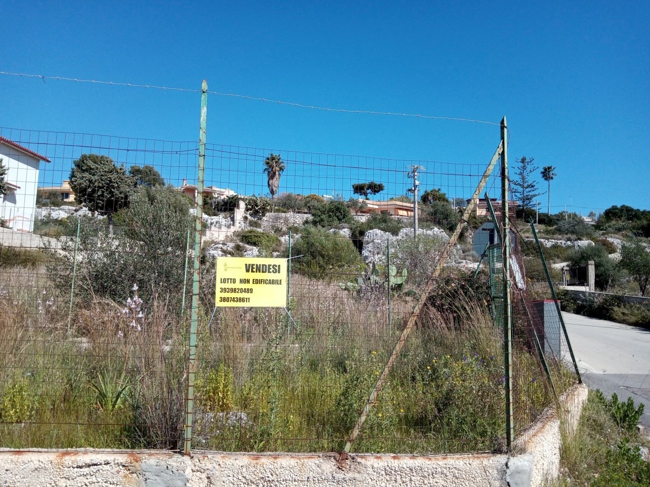 Terreno agricolo Siracusa - foto 3