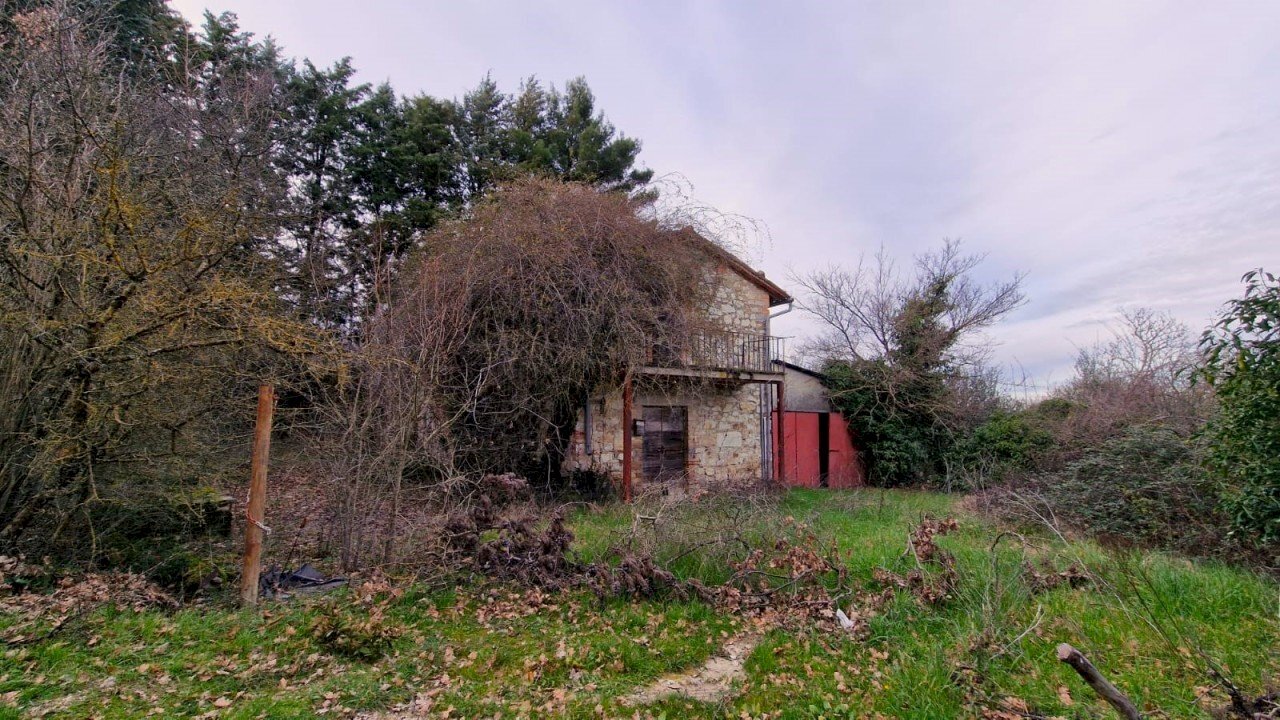 IMG-20240216-WA0051.jpg - Casale Località Pesciano snc, Todi - foto 3