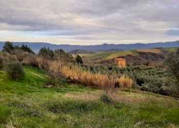 IMG-20240216-WA0028.jpg - Casale Località Pesciano snc, Todi - foto 1