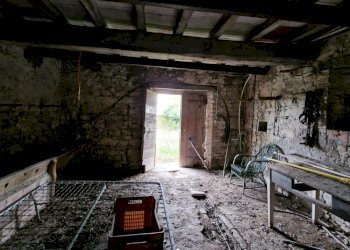 IMG-20240216-WA0054.jpg - Casale Località Pesciano snc, Todi - foto 14