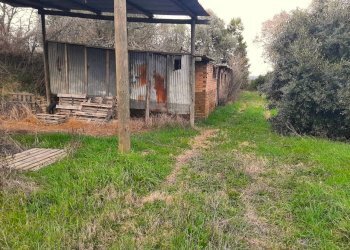 IMG-20240216-WA0030.jpg - Casale Località Pesciano snc, Todi - foto 17