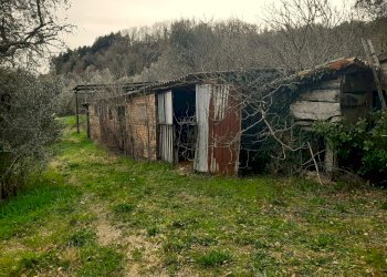 IMG-20240216-WA0031.jpg - Casale Località Pesciano snc, Todi - foto 18