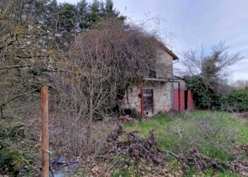 IMG-20240216-WA0034.jpg - Casale Località Pesciano snc, Todi - foto 19