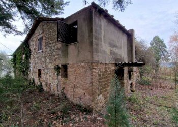 IMG-20240223-WA0033.jpg - Casale Località Pesciano snc, Todi - foto 22