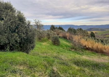 IMG-20240216-WA0029.jpg - Casale Località Pesciano snc, Todi - foto 25