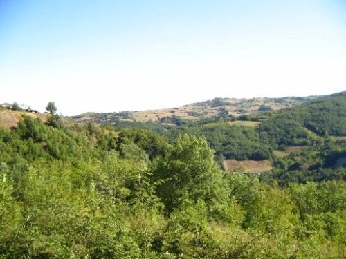 Rustic Bettola - photo 2