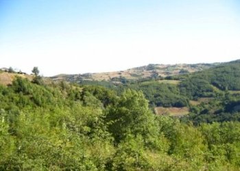 Rustic Bettola - photo 2